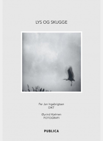 Lys og skugge