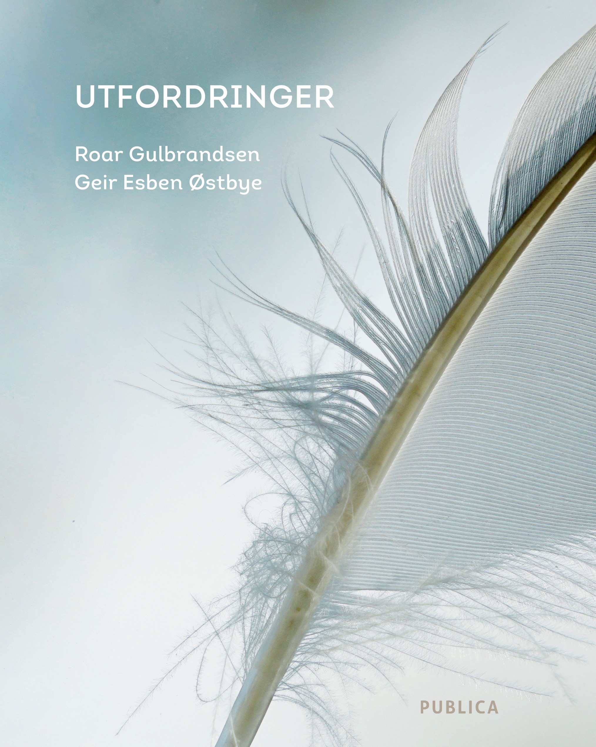 Utfordringer