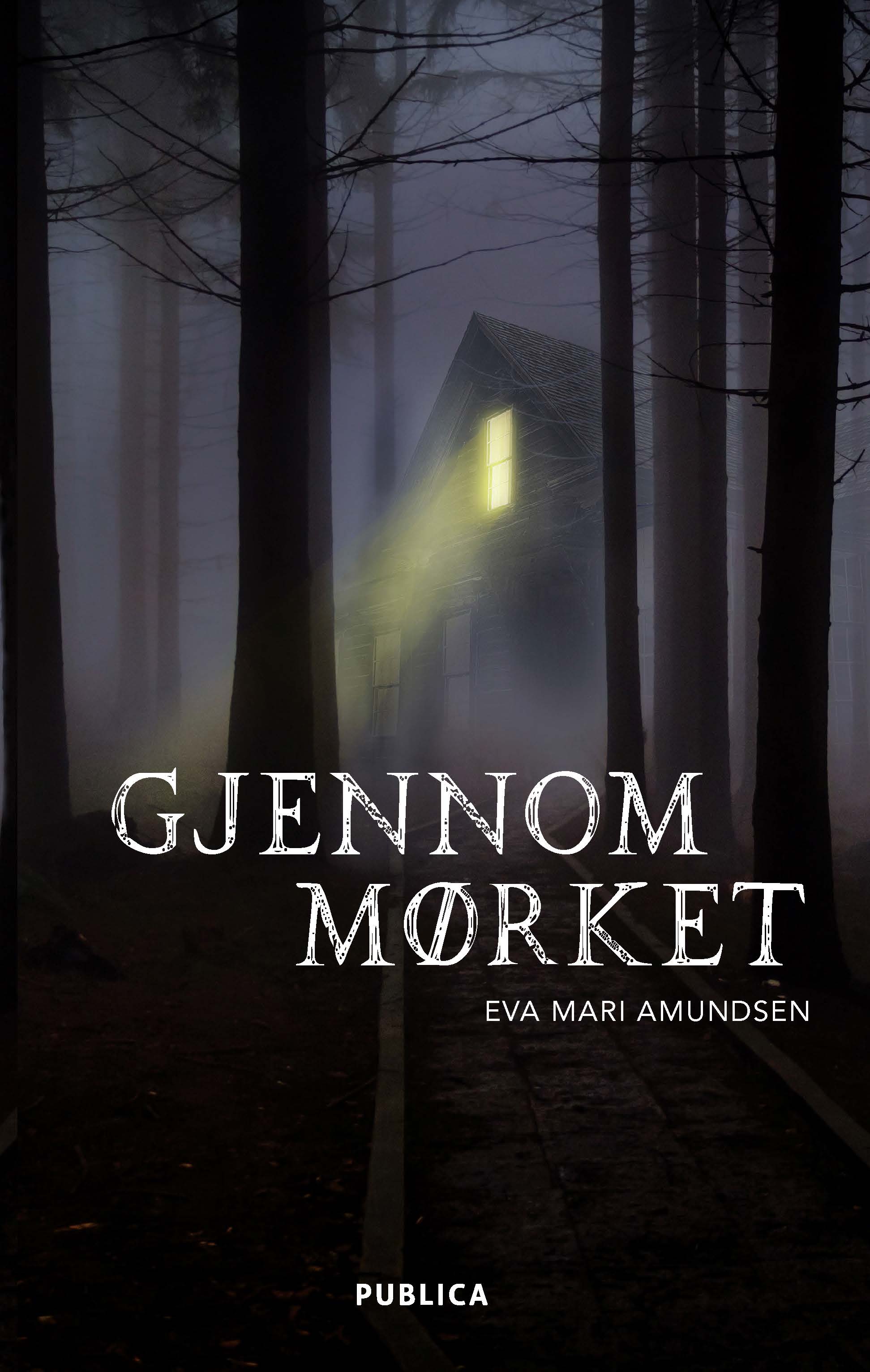 Gjennom mørket